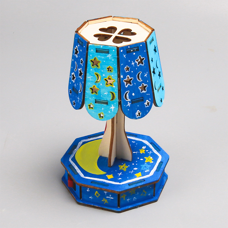 Science Project Kit - Educational Science Project: 3D Puzzle Wooden